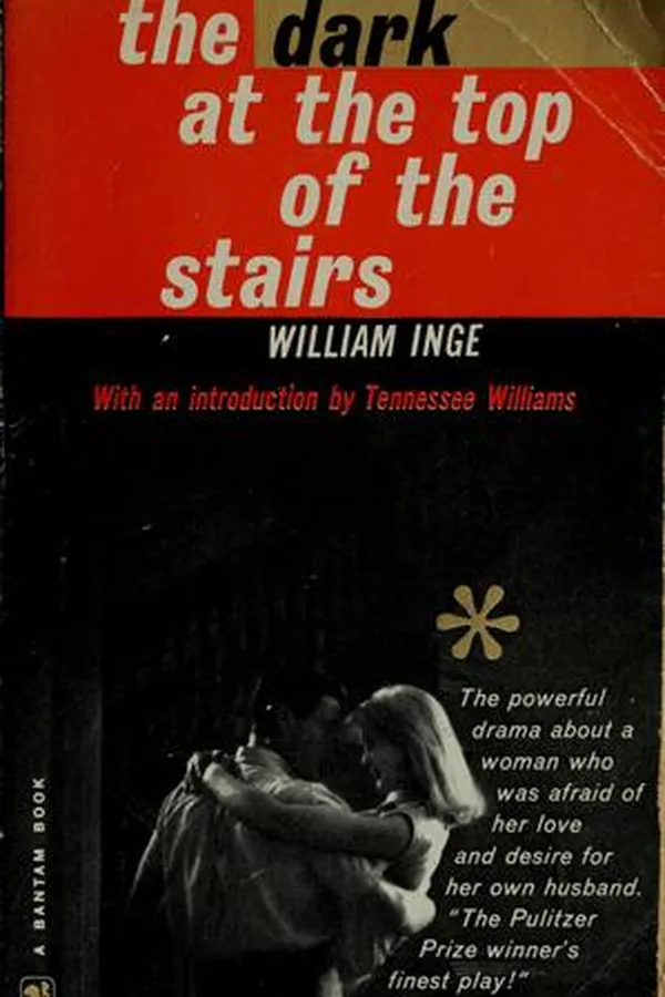 Capa de The dark at the top of the stairs