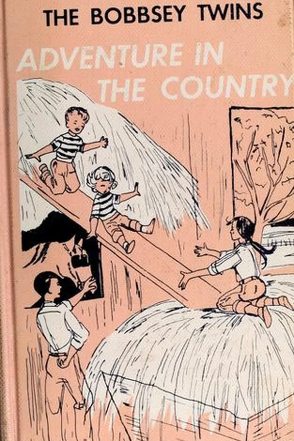 Capa de The Bobbsey twins' adventure in the country