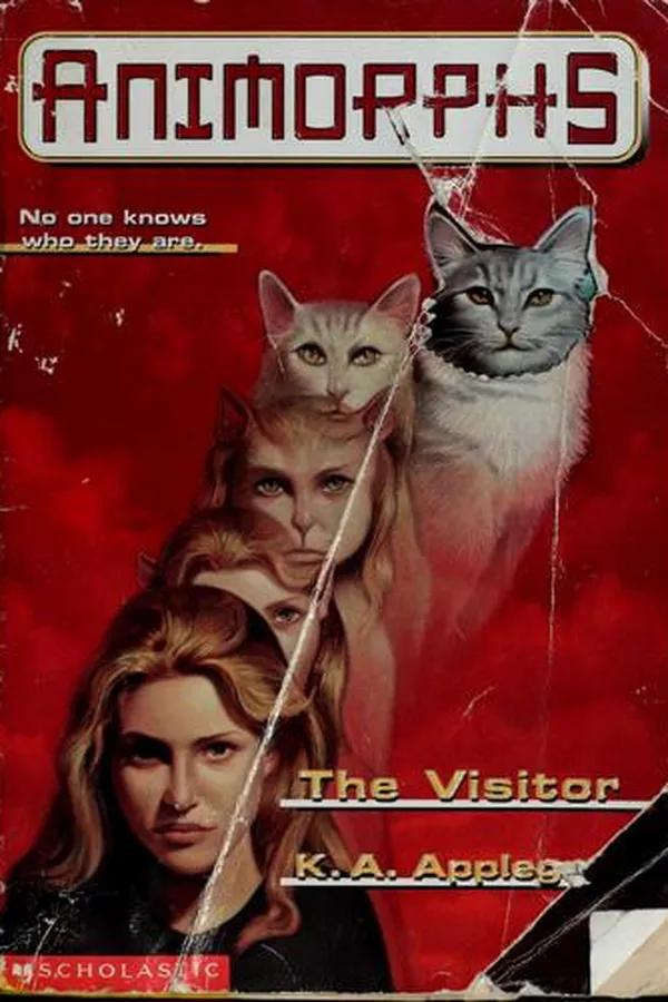 Capa de The Visitor
