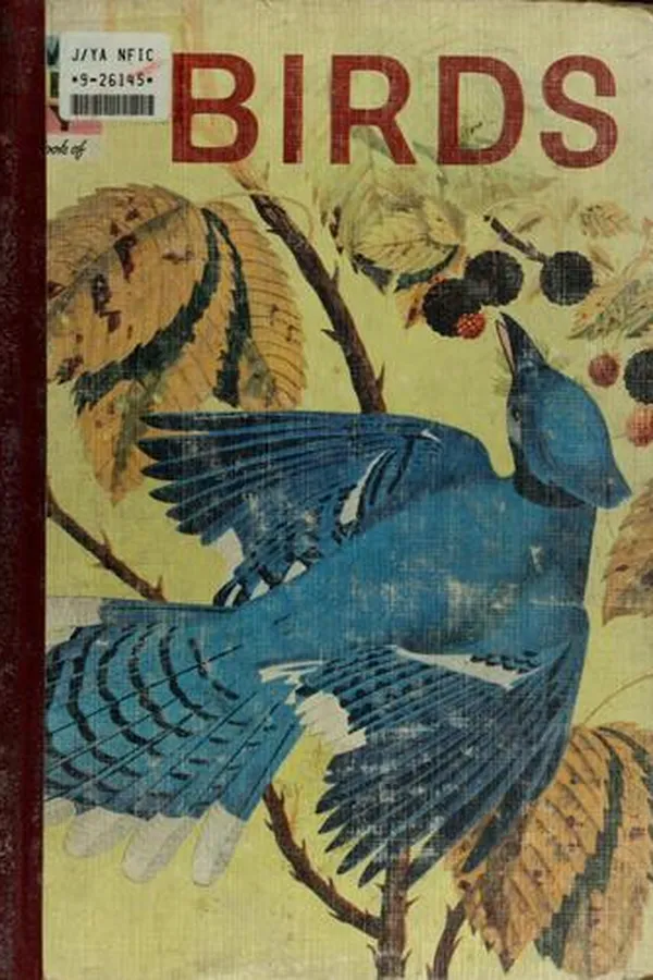 Capa de The how and why wonder book of birds