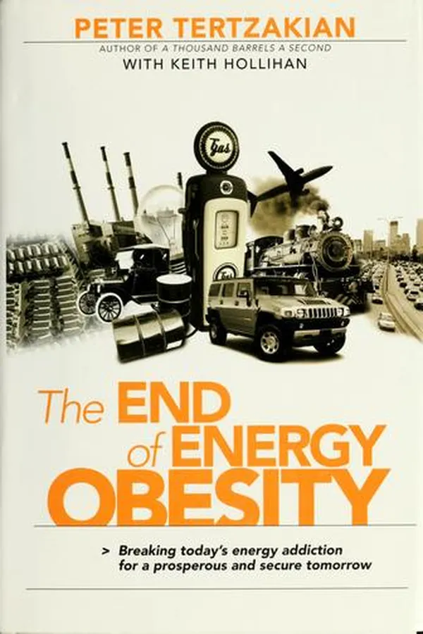 Capa de The end of energy obesity