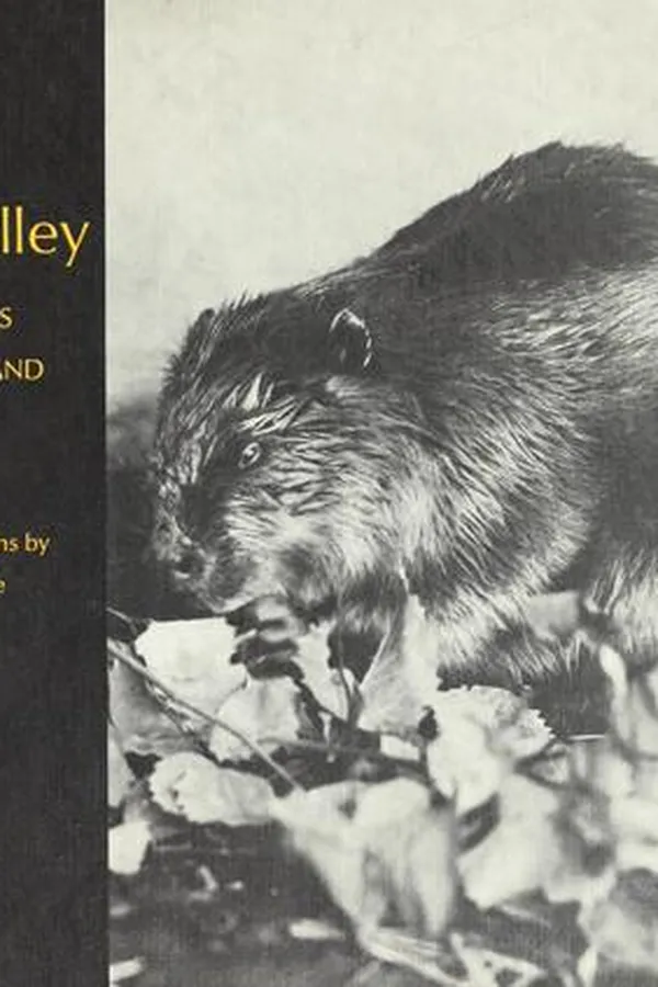 Capa de In a beaver valley