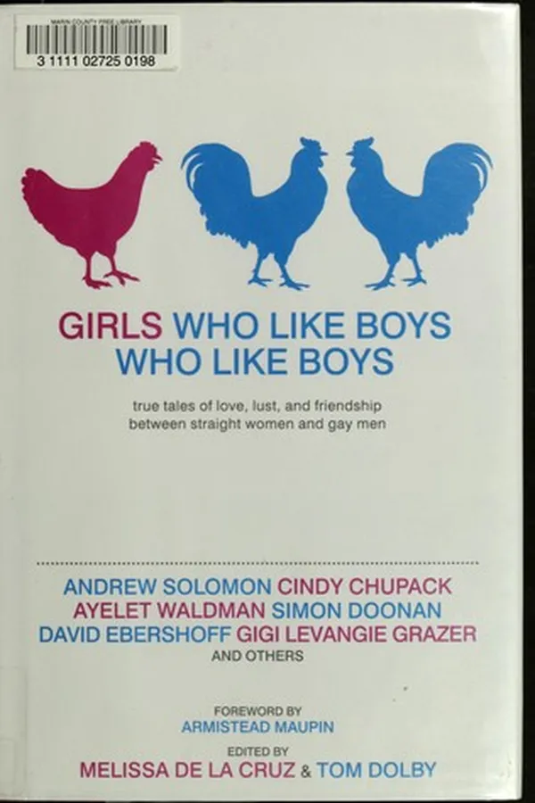 Capa de Girls Who Like Boys Who Like Boys