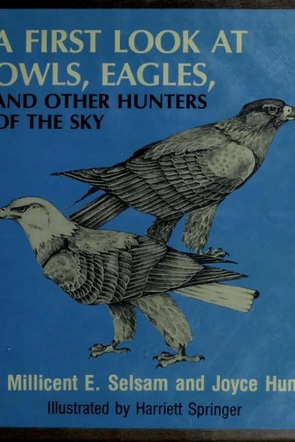 Capa de A first look at owls, eagles, and other hunters of the sky