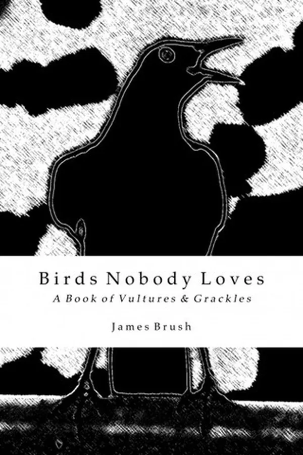 Capa de Birds Nobody Loves
