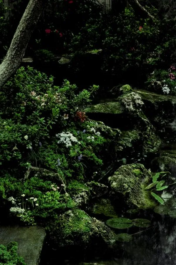 Capa de Rock and Water Gardens (Time-Life Encyclopedia of Gardening)