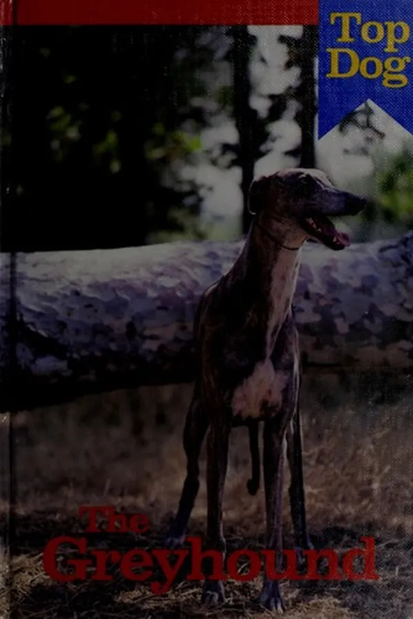 Capa de The Greyhound