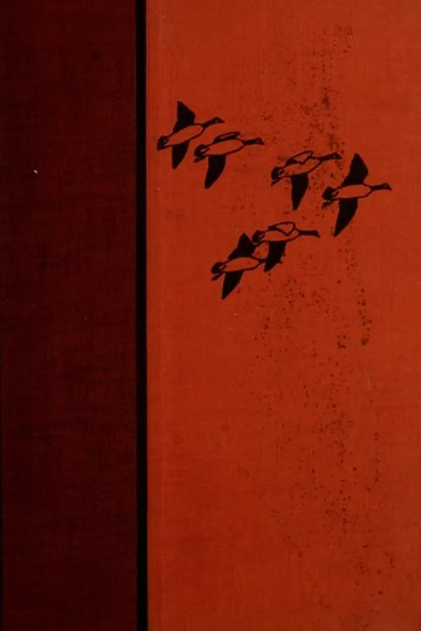 Capa de Water, prey, and game birds of North America