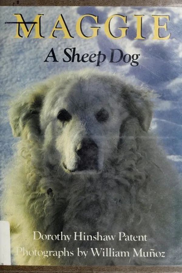 Capa de Maggie, a sheep dog