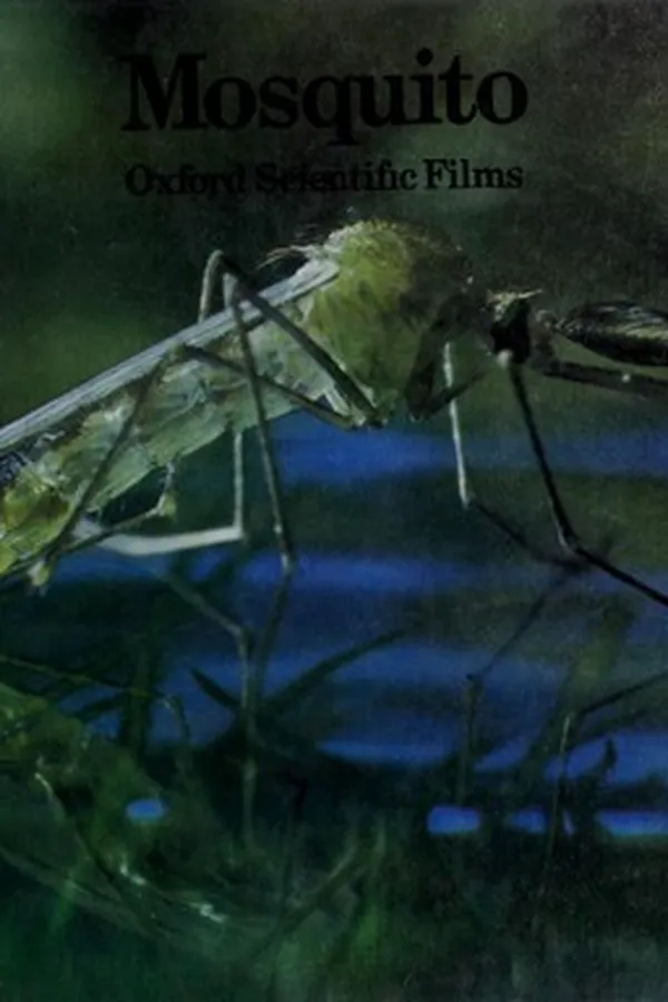 Capa de Mosquito