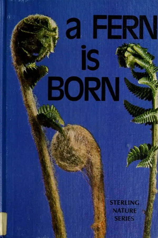 Capa de A fern is born
