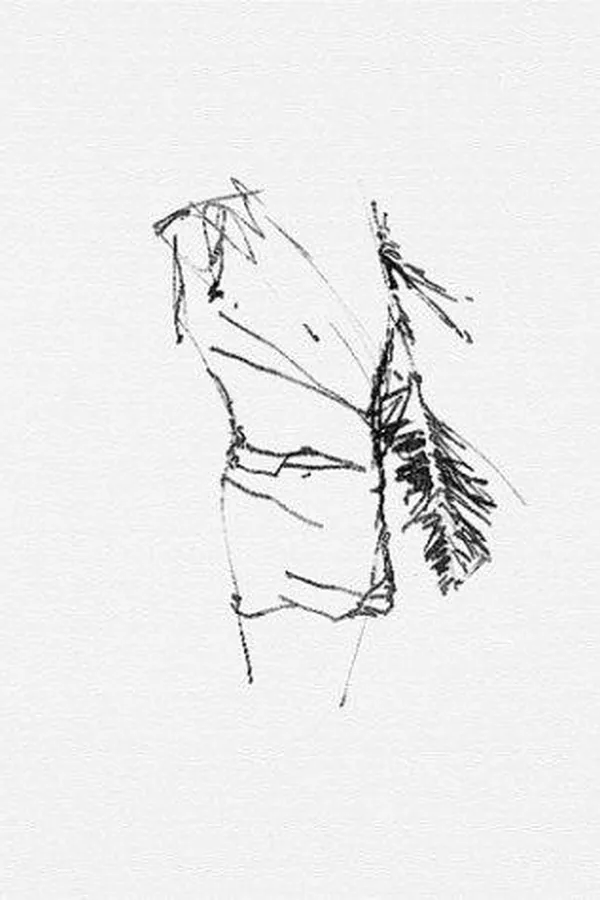 Capa de Brice Marden