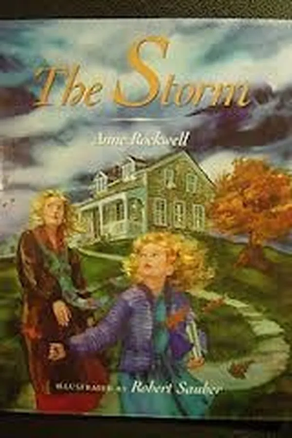 Capa de The storm