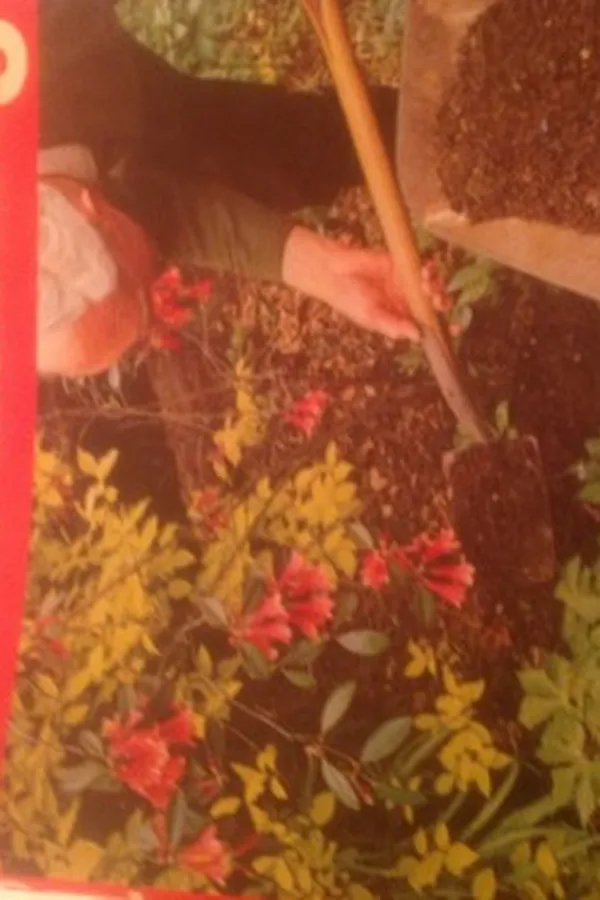 Capa de Compost gardening