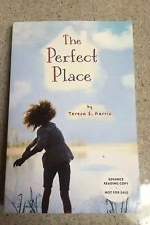 Capa de The Perfect Place