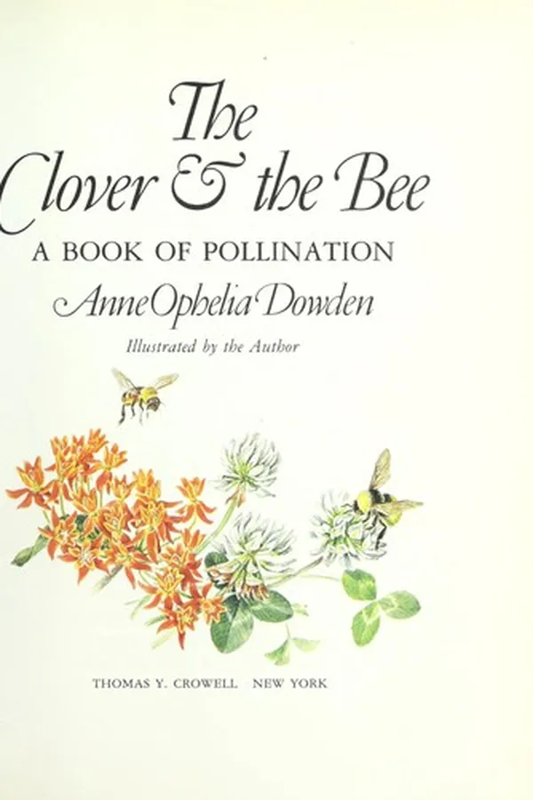 Capa de The clover and the bee