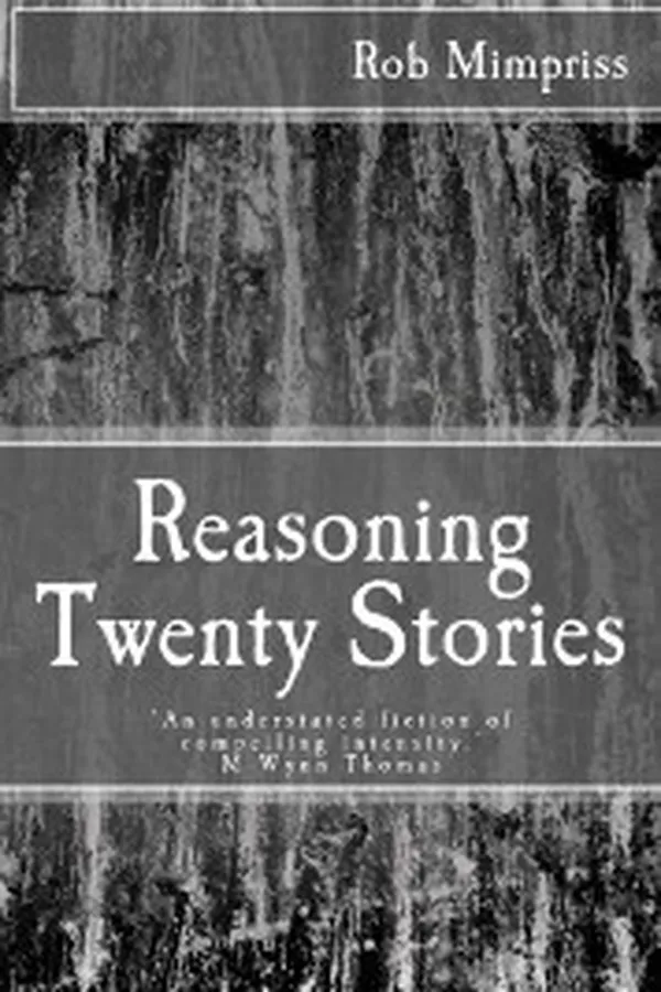 Capa de Reasoning