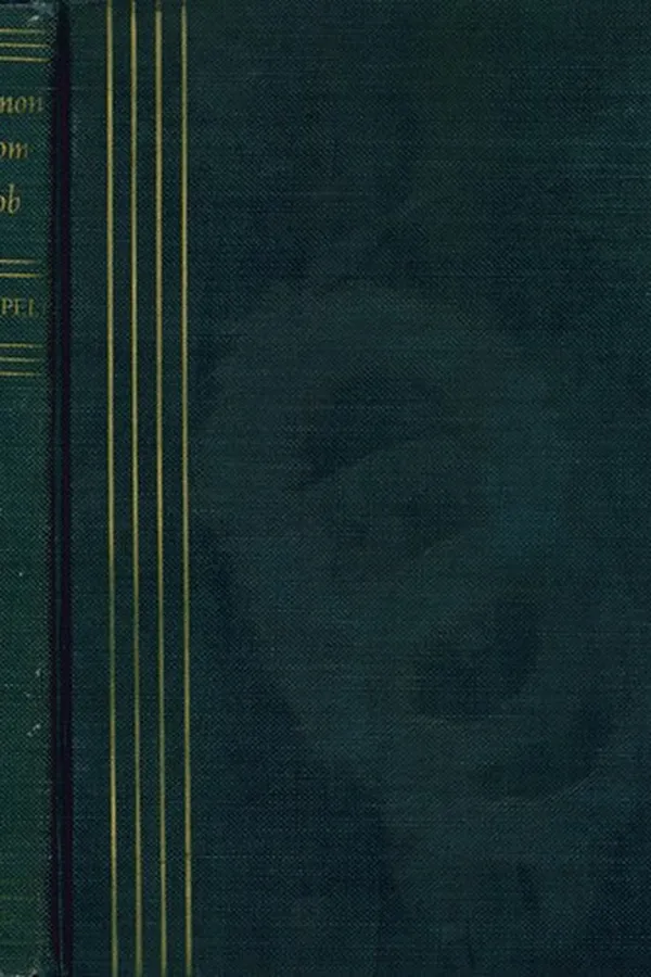 Capa de Sermons From Job