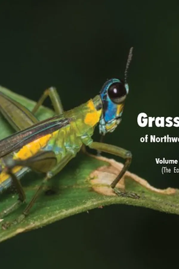 Capa de Grasshoppers of Northwest South America, A Photo Guide, Vol. 2 - The Eastern Fauna