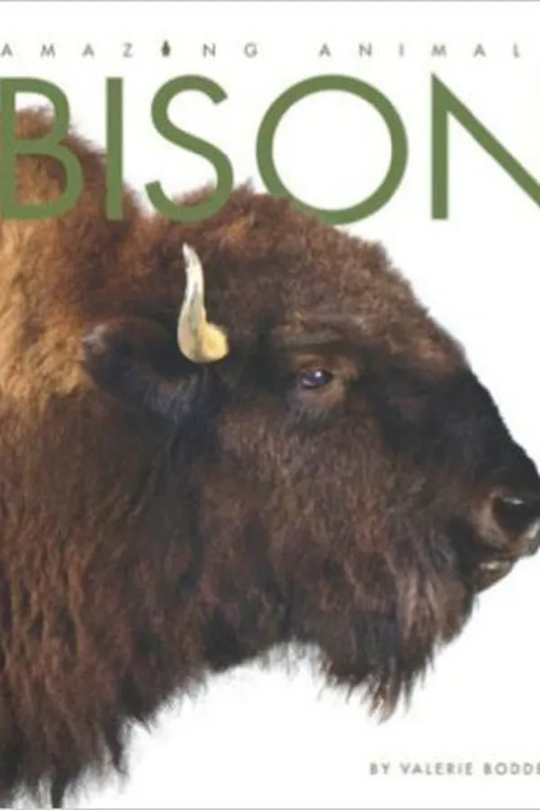 Capa de Bison