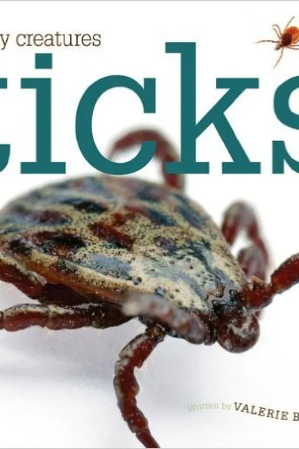 Capa de Ticks