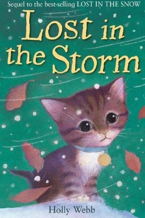 Capa de Lost in the Storm