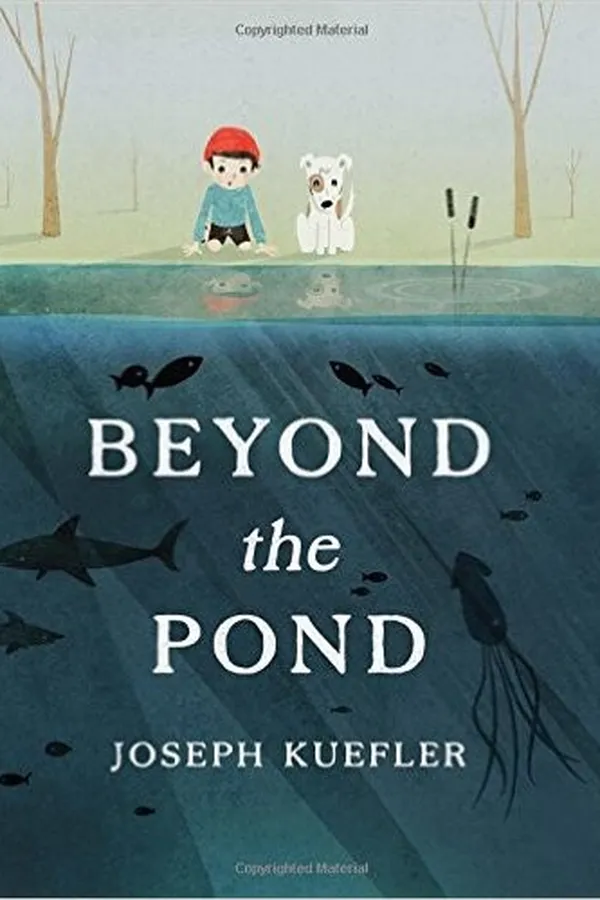 Capa de Beyond the Pond