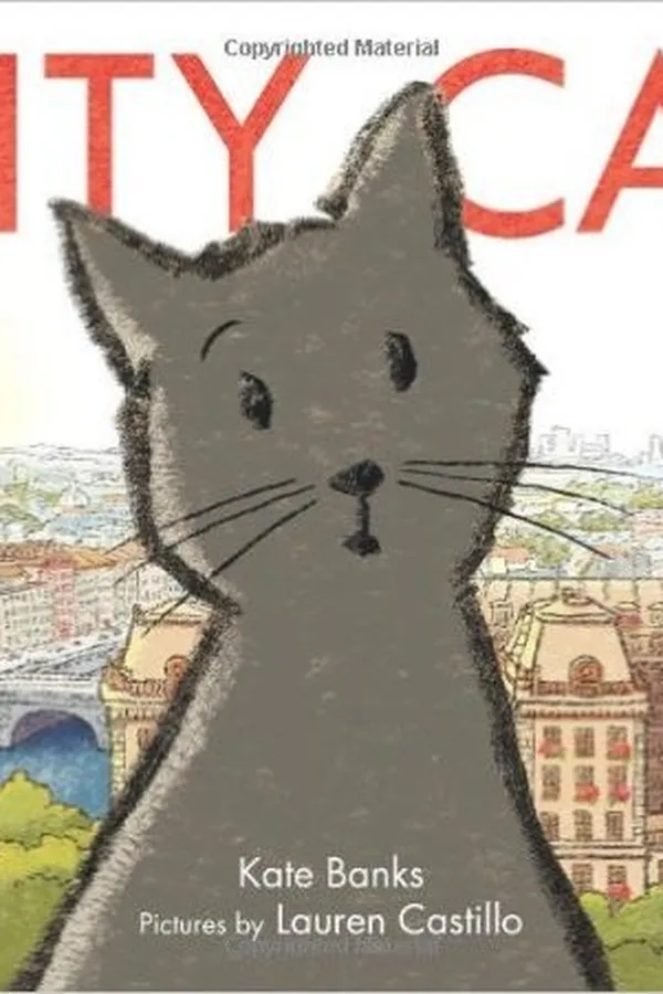 Capa de City Cat
