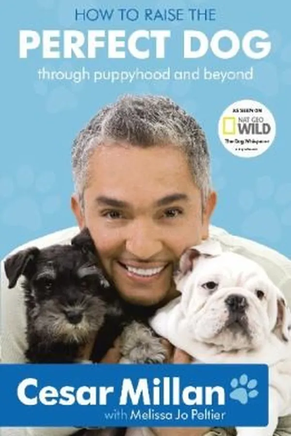 Capa de How to raise the perfect dog