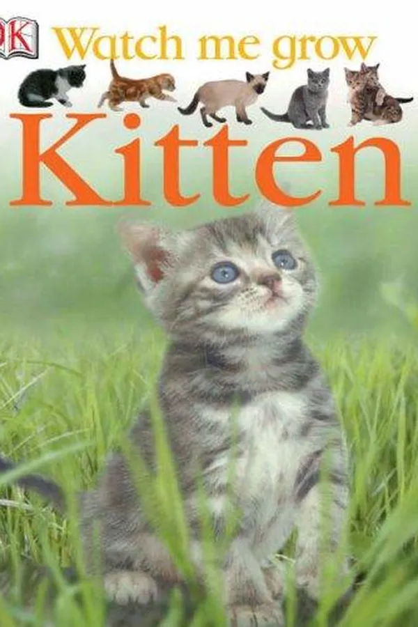 Capa de Kitten