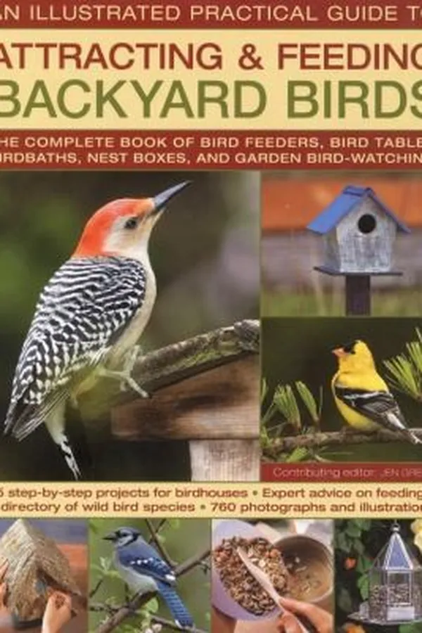 Capa de An Illustrated Practical Guide To Attracting Feeding Backyard Birds The Complete Book Of Bird Feeders Bird Tables Birdbaths Nest Boxes And Backyard Birdwatching