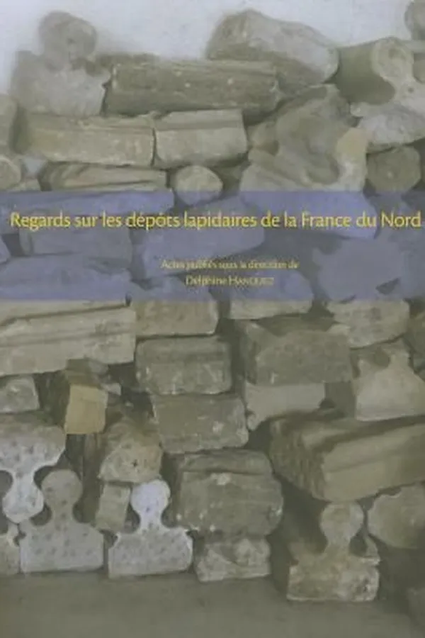 Capa de Regards Sur Les Dpts Lapidaires De La France Du Nord Actes De La Journe Dtudes Larchitecture En Objets Les Dpts Lapidaires De La France Du Nord Paris Institut National Dhistoire De Lart Vendredi 12 Dcembre 2008