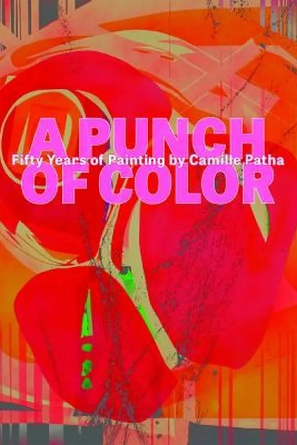 Capa de A Punch Of Color Fifty Years Of Painting By Camille Patha