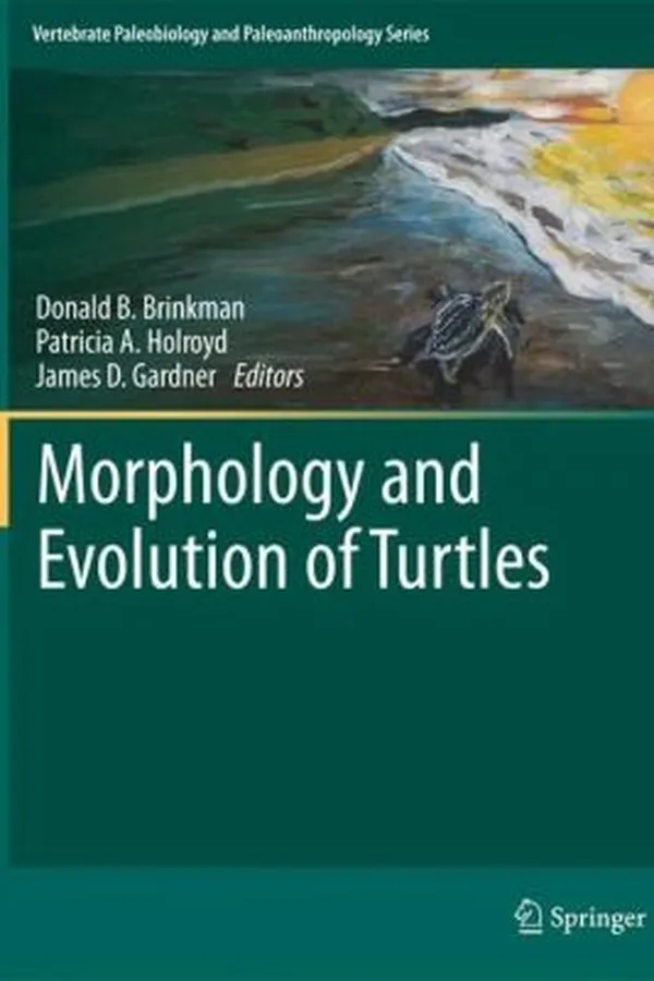 Capa de Morphology And Evolution Of Turtles Proceedings Of The Gaffney Turtle Symposium 2009 In Honor Of Eugene S Gaffney