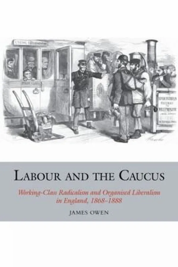Capa de Labour And The Caucus Workingclass Radicalism And Organised Liberalism In England 18681888