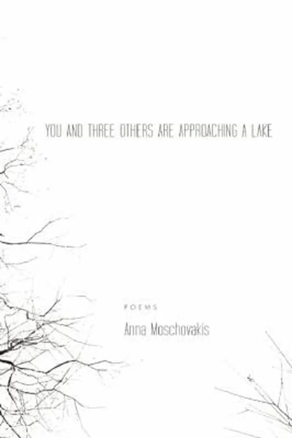 Capa de You And Three Others Are Approaching A Lake