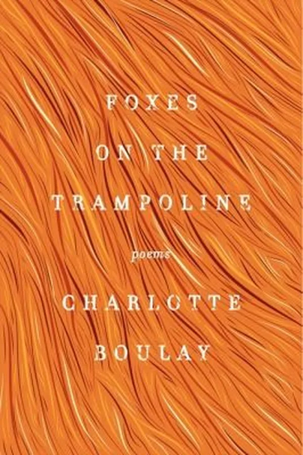 Capa de Foxes on the Trampoline