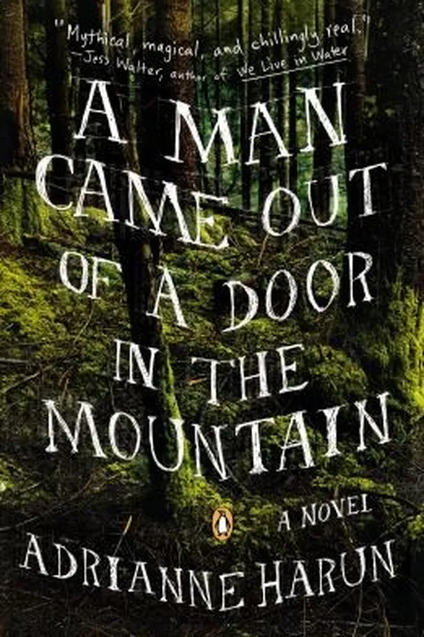 Capa de A Man Came Out Of A Door In The Mountain A Novel