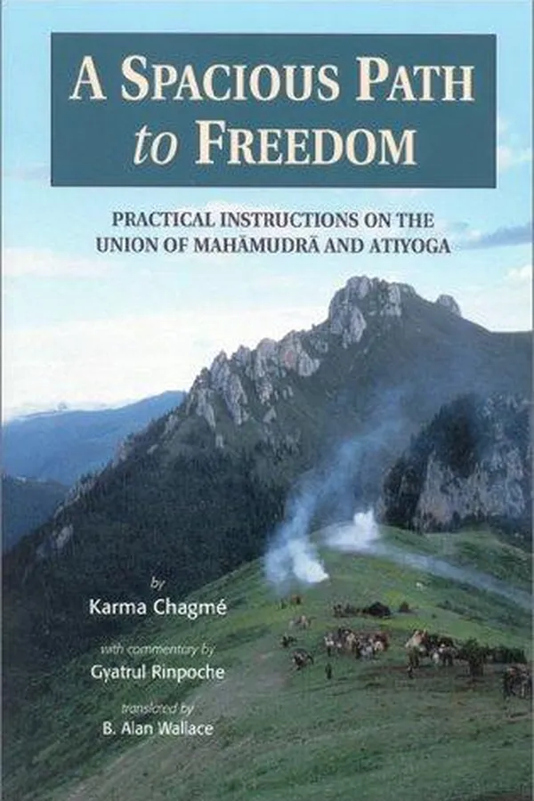 Cover of A spacious path to freedom