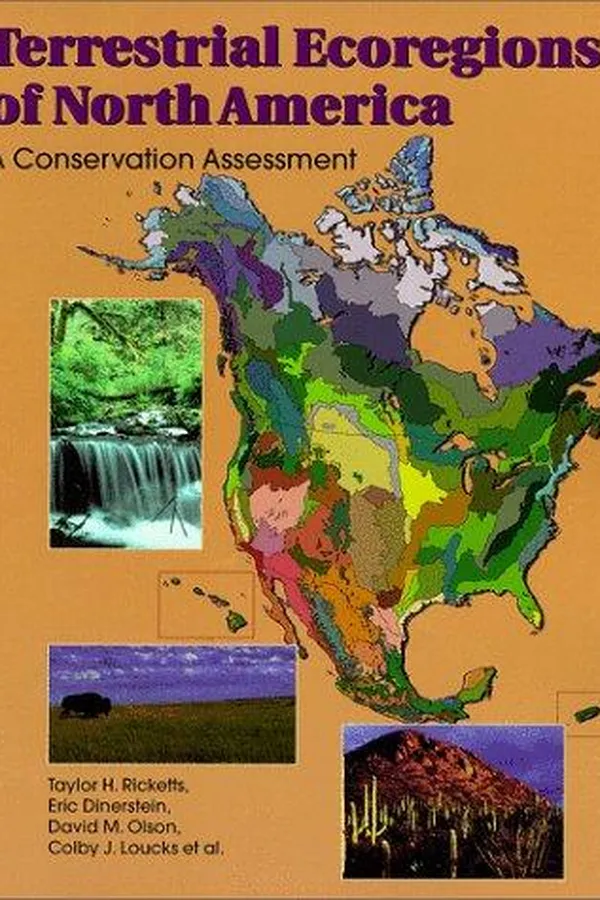 Capa de Terrestrial ecoregions of North America