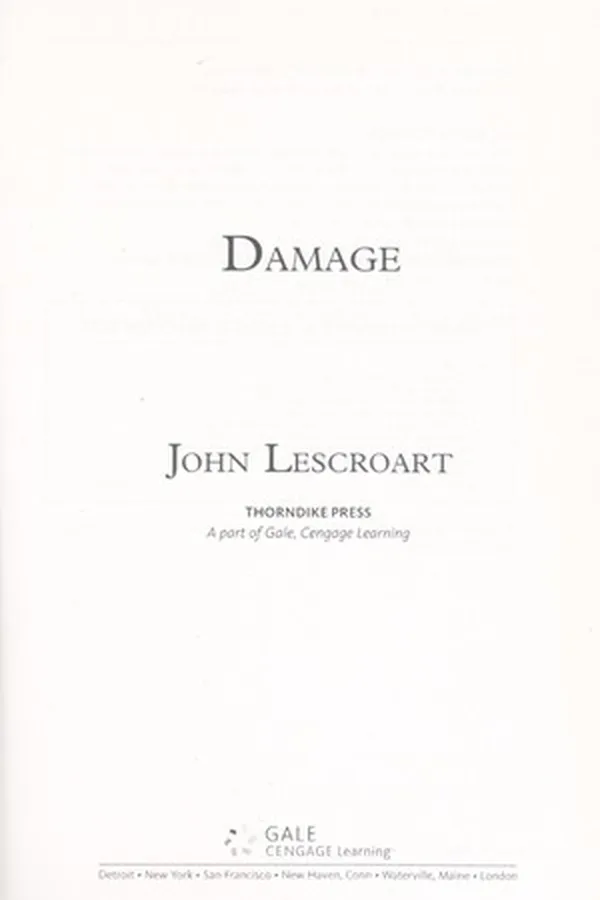 Capa de Damage