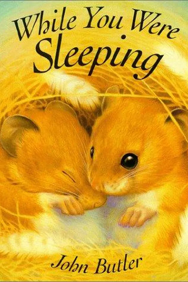 Capa de While you were sleeping