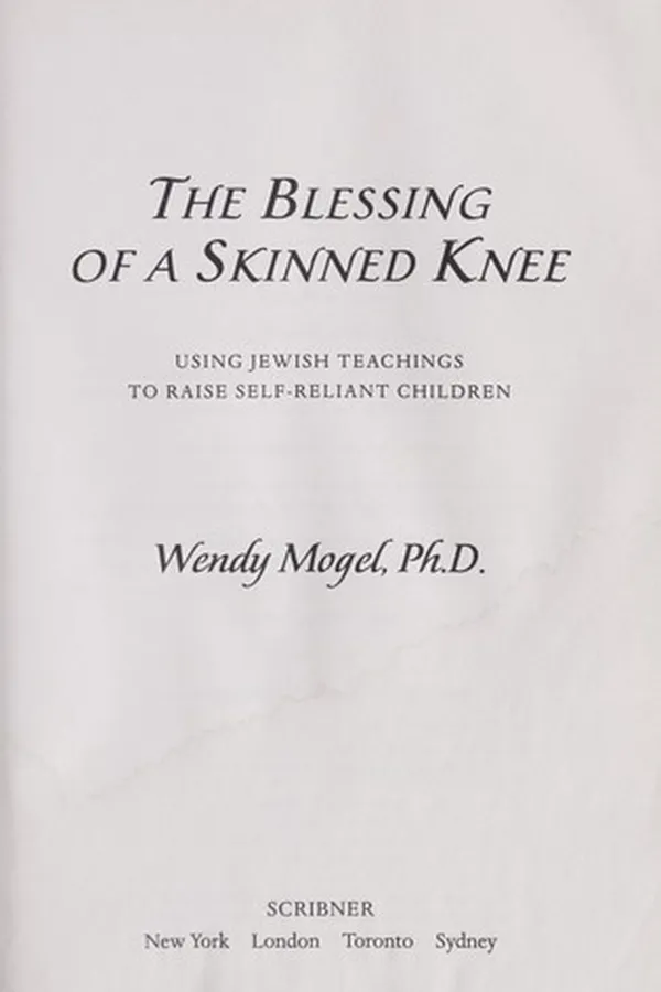 Capa de The blessing of a skinned knee