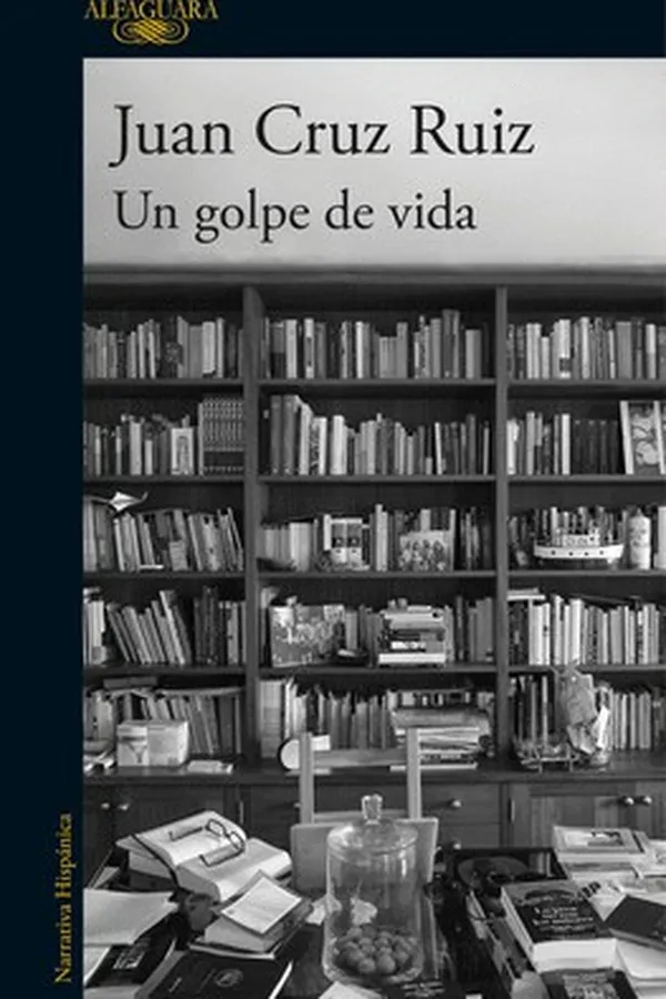 Capa de Un golpe de vida