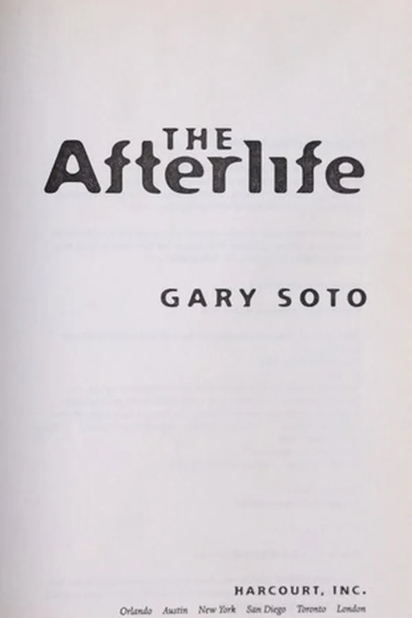 Capa de The afterlife