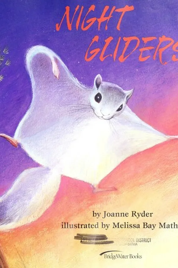 Capa de Night gliders