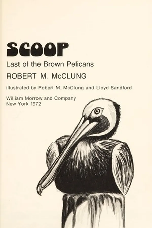 Capa de Scoop, last of the brown pelicans
