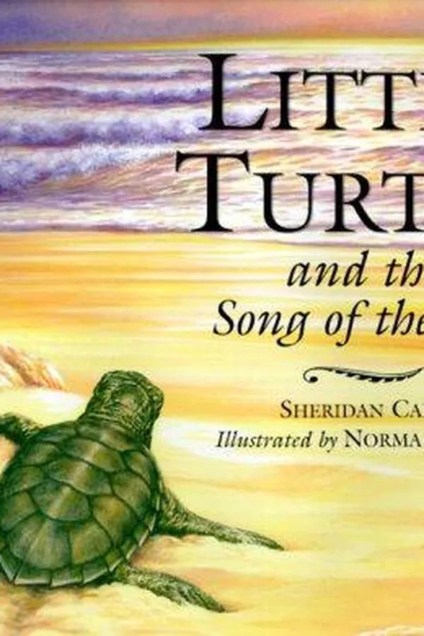 Capa de Little Turtle and the song of the sea