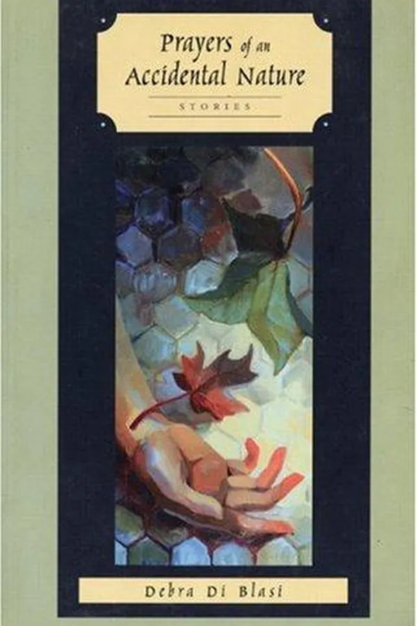 Capa de Prayers of an accidental nature