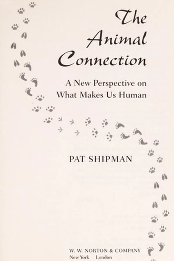 Capa de The animal connection